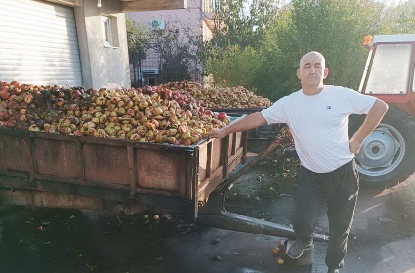  Poljoprivrednik Semir Kurtović na imanju od jutra do mraka, divlji nar osvaja i kupce i proizvođače