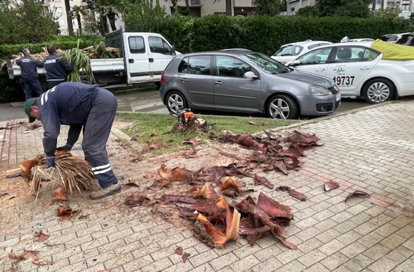  Nevrijeme u Kotoru, oboreno više stabala, manji odron u Stolivu