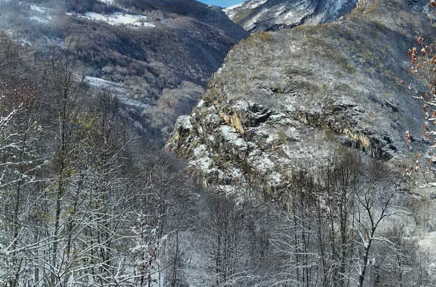  Mještani u selima Pive žive u strahu od zvijeri